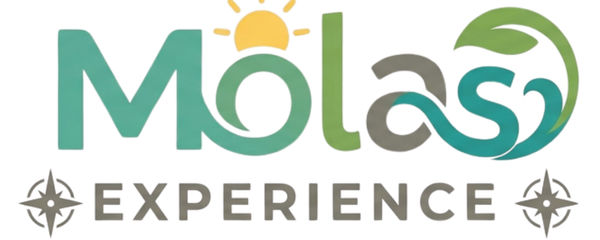 PT MOLAS EXPERIENCE